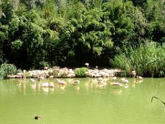 101PARC AUX OISEAUX DANS L AIN 2016 1_000011